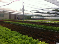 โทร. 081-927-7522