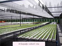 farm3