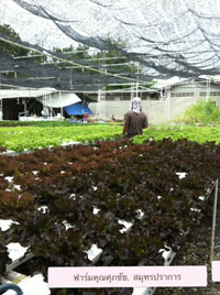 farm6